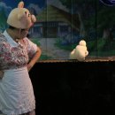 명지배화유치원 이미지