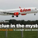 Pilot who hitched a ride in cockpit saved doomed Lion Air Boeing 737 Max day before it crashed by Our Foreign Staff,The Telegraph 이미지