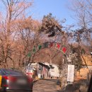 따듯한오후 낮잠소리 | [신촌] 숲속한방랜드 (영업시간·준비물·시설·숯가마 정보)