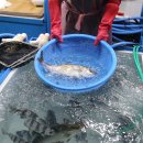 조은상회 이미지