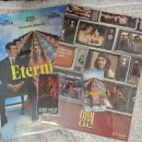 (주)영원 | 완다비전 보는 것 같다. 영원 NO스포 후기포스팅~!!! 'Eternity'