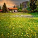 황혼농장 이미지