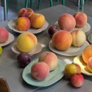 대옥농장 이미지