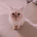 (주)꾼커뮤니케이션 | 언니의 아기로 돌아오는 금자 소식 :)