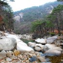 삼선7 이미지