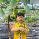 샤인농장 이미지