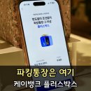 루비박스플러스