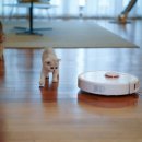 준클리닝 이미지