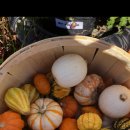 TV 토론회 이미지