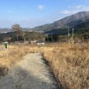 밤골목장 네이버블로그