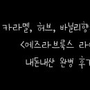 타격감과 민트향이 인상적인 위스키 [에즈라브룩스 라이] 내돈내산 솔직 완병 후기!