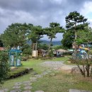 [경주숙소/경주풀펜션] 엉클톰스케빈펜션