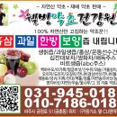 금촌동 CU편의점 앞 이미지