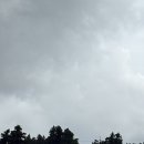 진범목장 이미지