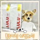 소.화식당 | 네이버 펫 바우처 앰버서더 활동 후기 룰루키친 화식 추천