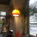 루프리텔캄 이미지