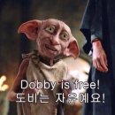 (주)야탑 네이버블로그
