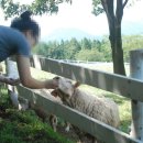 오구목장 이미지