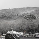 관음사(야영장) 이미지