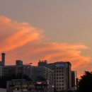 조선옥식당 이미지