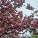 우슬경기장 내 이미지