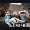 고은피부과의원 이미지