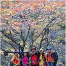 휴양림약수 이미지