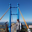 하늘다리 이미지