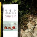 갤러리뜰