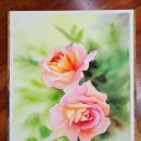 [백석]수채화&보타니컬 이미지