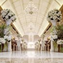 W 스퀘어 이미지