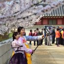 이춘섭명인전통복식연구소 이미지