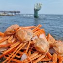 호성이골뱅이 파주금촌점 이미지