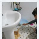 롯데가스 이미지