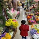 뚜비농장 이미지