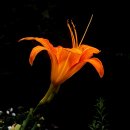 반송동033 이미지