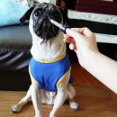 신라축산약품 이미지