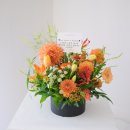 오렌지가든 이미지