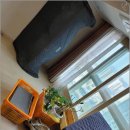 오동동117 이미지