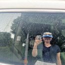 창우목장 이미지