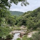 오가피가든 | [북한산 맛집] 북한산 계곡 맛집 ‘산골가든’ 방문 후기 (메뉴·분위기·추천 포인트)