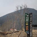 자양보 오토 캠핑장 이미지