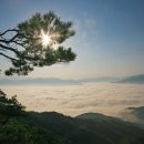 곡성-170 이미지