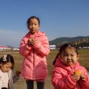 홍스쿠키앤마카롱