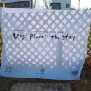 도기플래닛 더 스테이 이미지