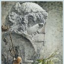 아리아스 이미지