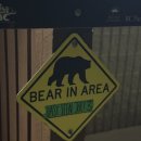 골든파크 | 밴쿠버 근교 캠핑장 추천 | 골든이어스 파크 주립공원 캠핑 후기