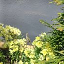 전라남도해양과학관 주변 모습2 이미지