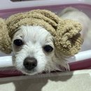 몽스빌리지 이미지