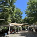 선우유치원 | [경기 양평] 감자채전과 열무국수가 킥! 당일치기 물놀이하기 좋은 사나사계곡 닭백숙맛집 선우산장